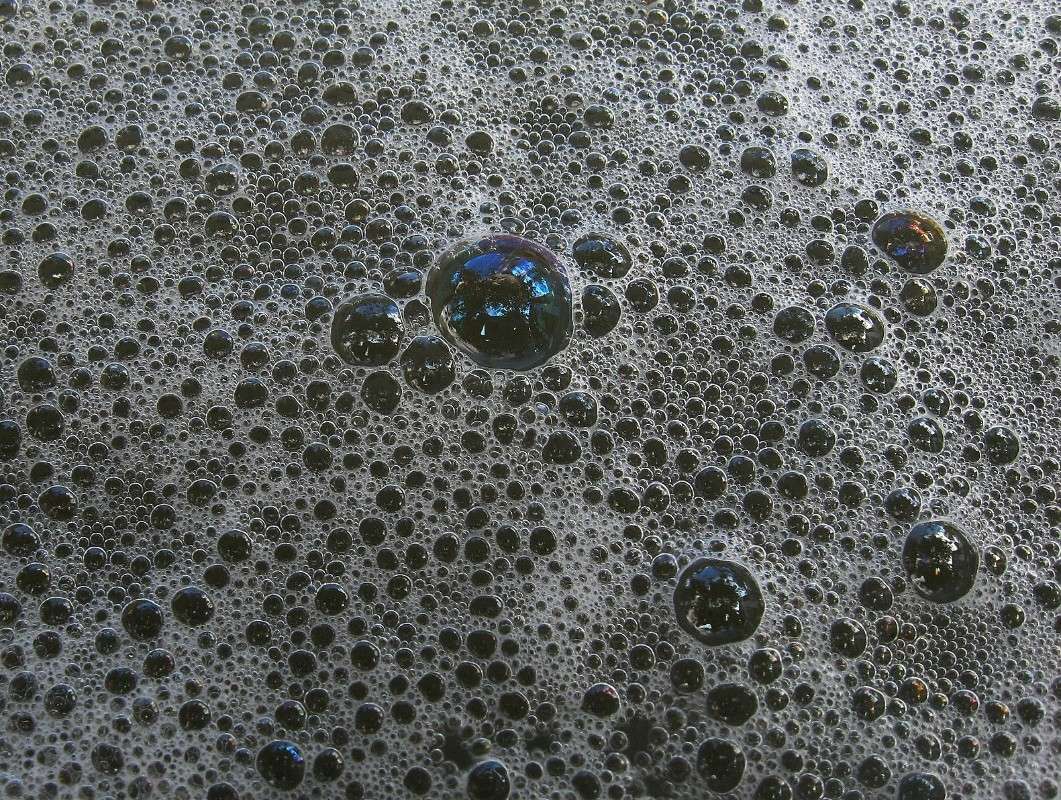 ����������� ����������...) ����� Natali  ��������� �� PhotoGeek.ru #�������� ���������� #���������� #����� ��������