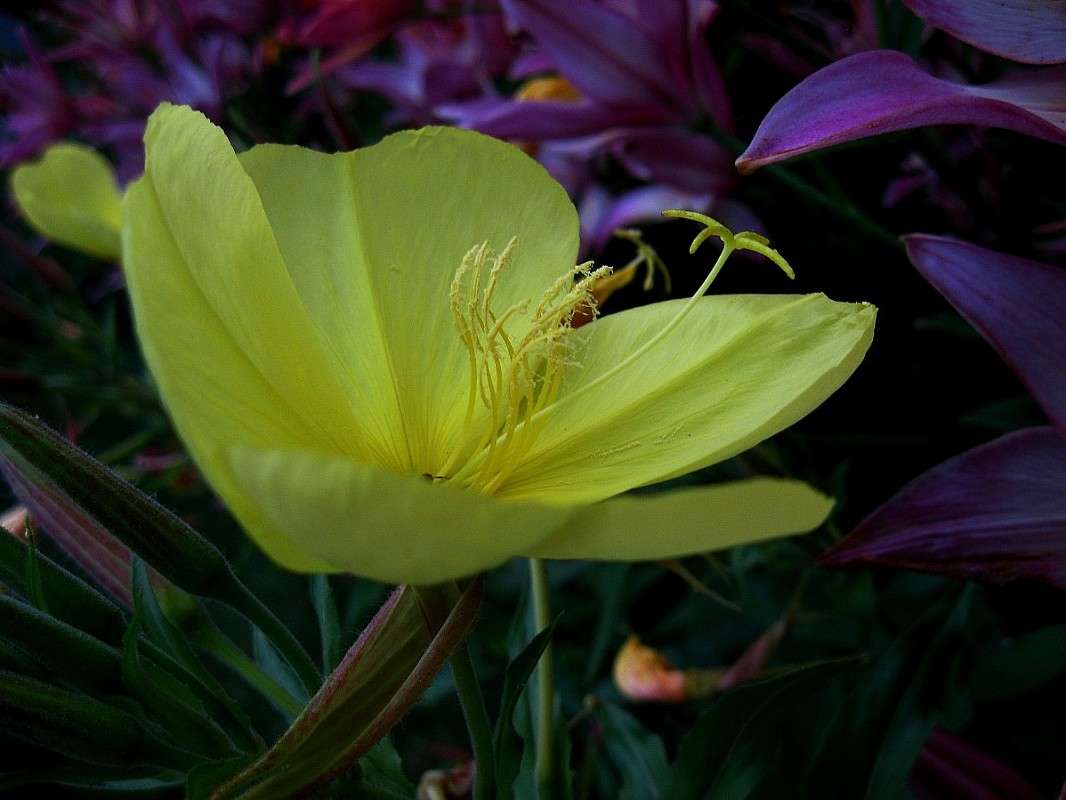 ������� ����� Natali  ��������� �� PhotoGeek.ru #������ ��� ������� #����� ��������������