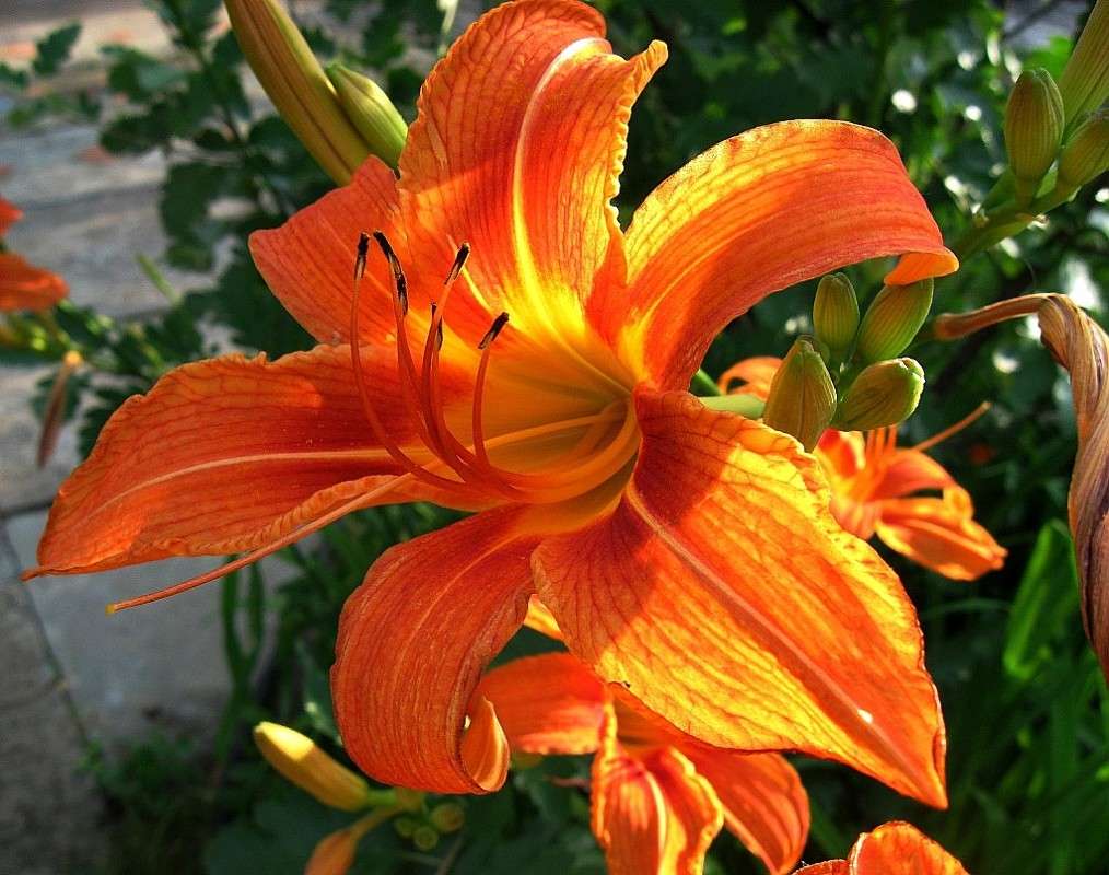 �������� ����� Natali  ��������� �� PhotoGeek.ru #������ ��� ������� #����� ��������������