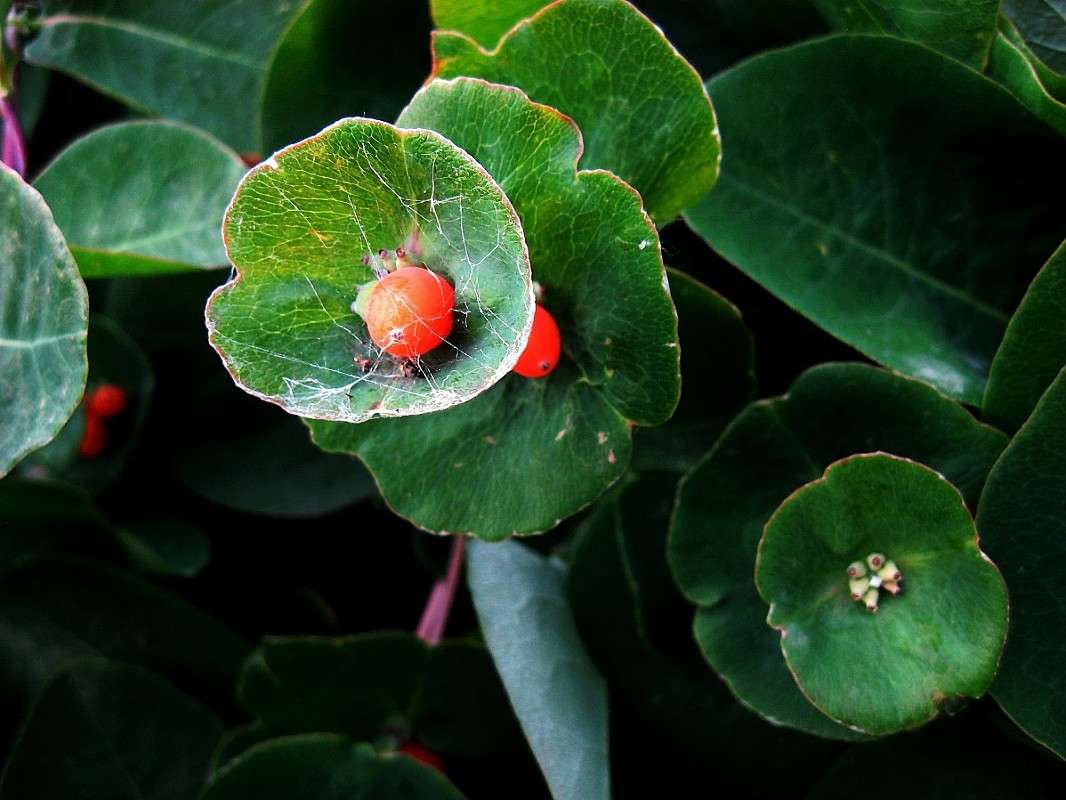 ... ����� Natali  ��������� �� PhotoGeek.ru #������ ��� ������� #����� ��������������