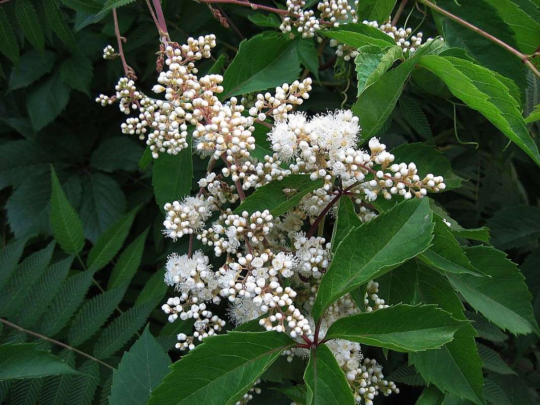 ... ����� Natali  ��������� �� PhotoGeek.ru #������ ��� ������� #����� ��������������