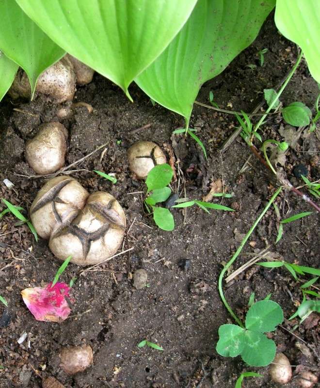 ��� �� ����� ? ����� Natali  ��������� �� PhotoGeek.ru #����� ��������������