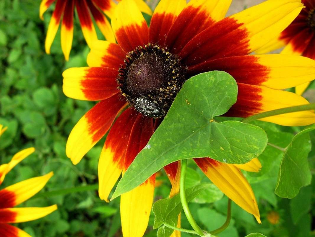 ��������� �������� ����� Natali  ��������� �� PhotoGeek.ru #������ ��� ������� #����� ��������������