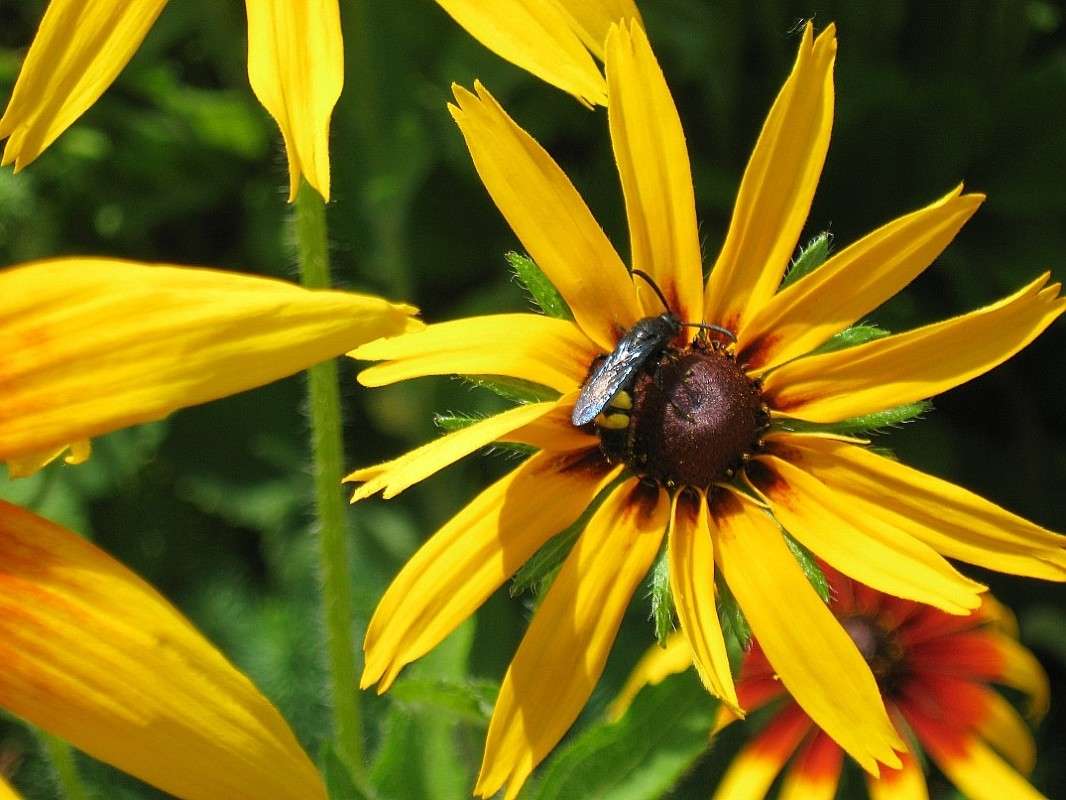 ��������� �������� ����� Natali  ��������� �� PhotoGeek.ru #������ ��� ������� #����� ��������������