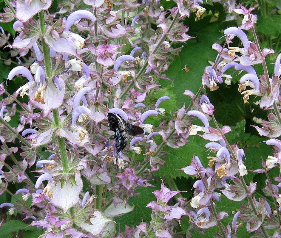 ��������� �������� ����� Natali  ��������� �� PhotoGeek.ru #������ ��� ������� #����� ��������������