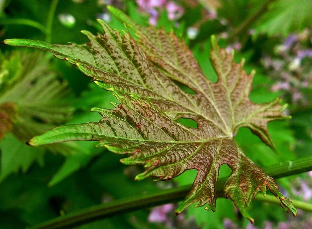 ... ����� Natali  ��������� �� PhotoGeek.ru #������ ��� ������� #����� ��������������