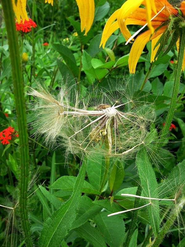 �������� ������� �������� �����.... ) ����� Natali  ��������� �� PhotoGeek.ru #������ ��� ������� #����� ��������������