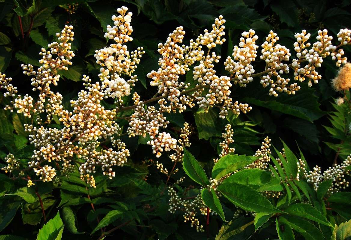 ... ����� Natali  ��������� �� PhotoGeek.ru #������ ��� ������� #����� ��������������