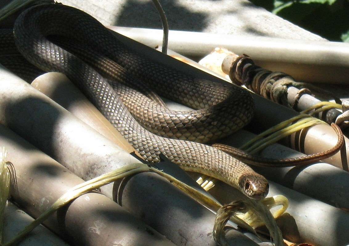 ����� ����������... ����� Natali  ��������� �� PhotoGeek.ru #�������� ��� #����� ��� ��� ���������