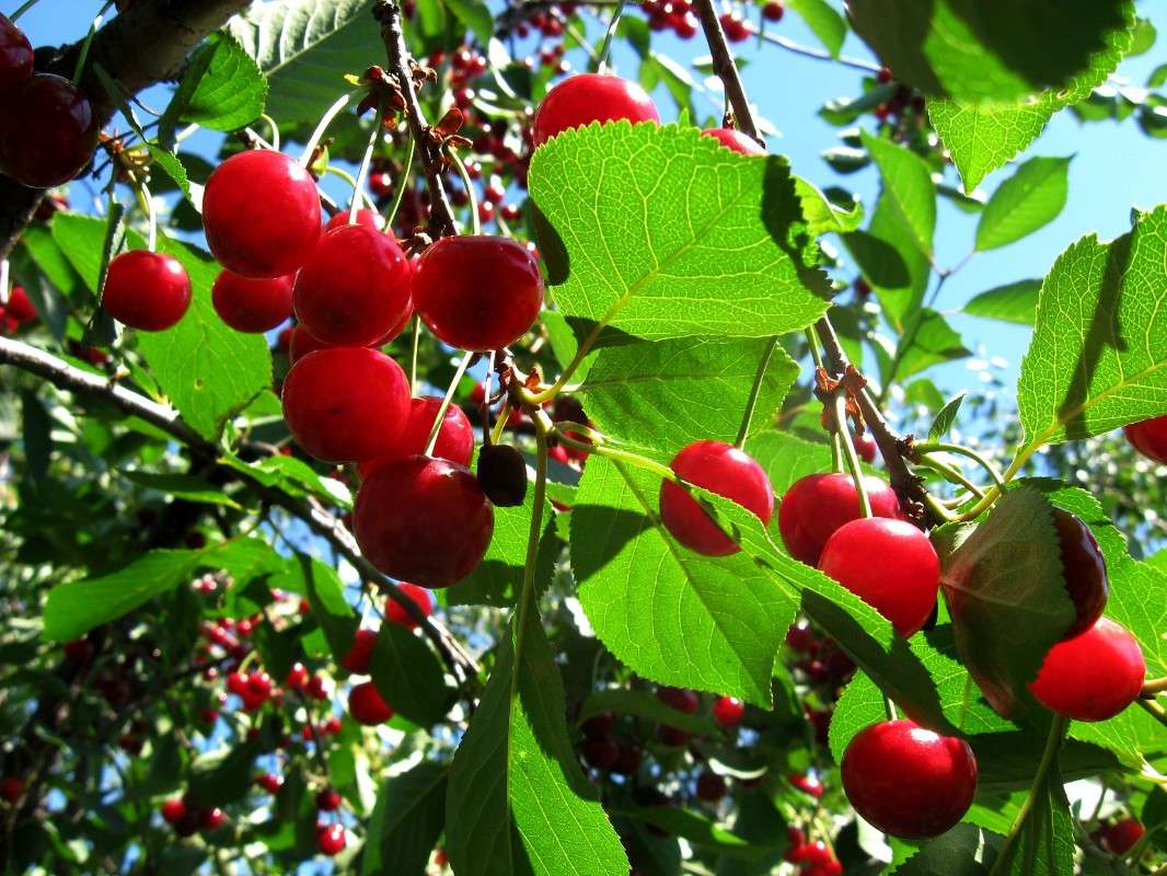 �� ���� ��...3 ����� Natali  ��������� �� PhotoGeek.ru #������ ��� ������� #����� ��������������