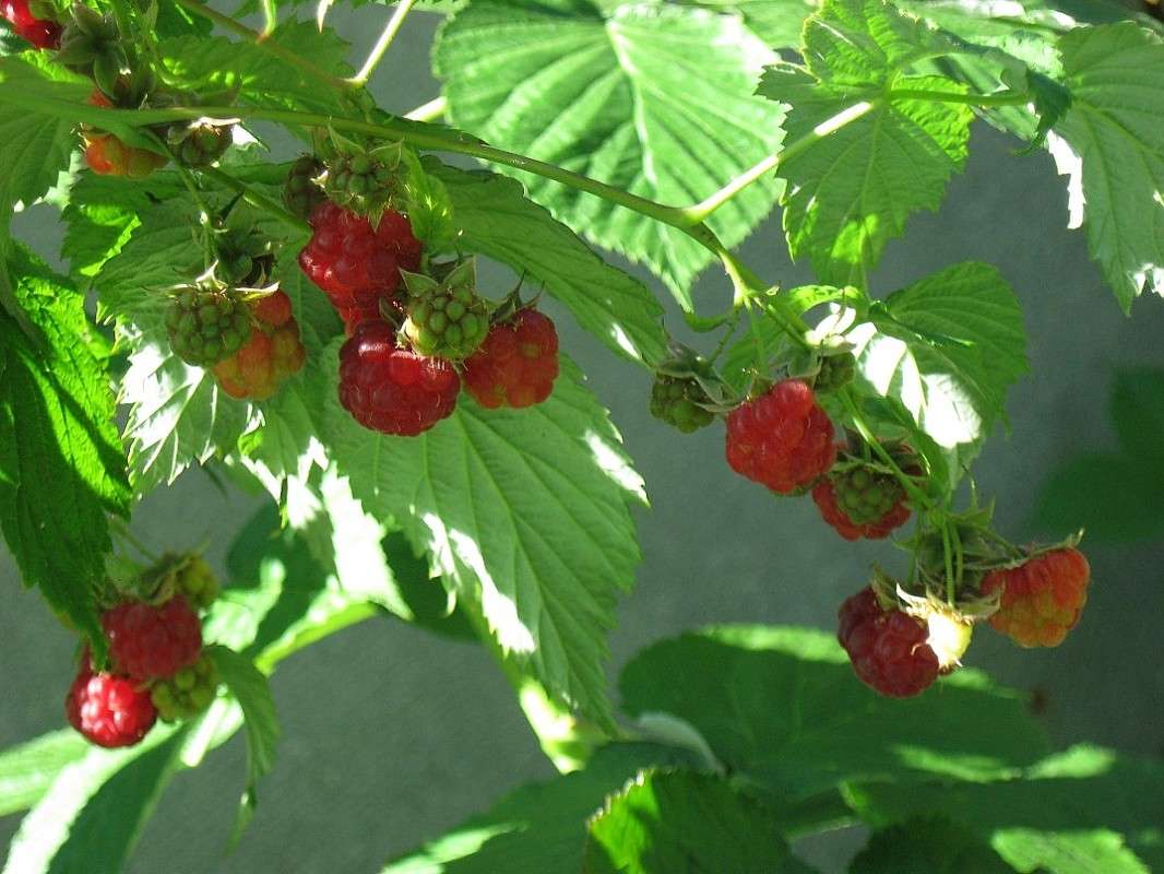 �� ���� ��...4 ����� Natali  ��������� �� PhotoGeek.ru #������ ��� ������� #����� ��������������