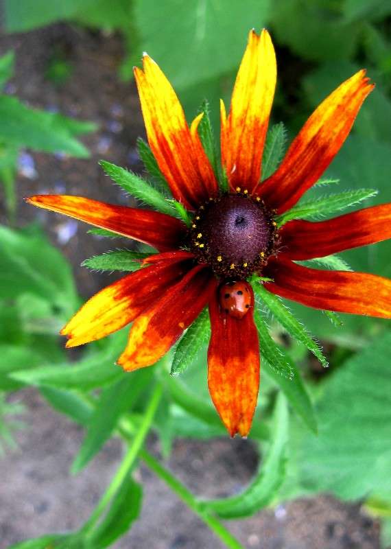 �� ���� ��...2 ����� Natali  ��������� �� PhotoGeek.ru #������ ��� ������� #����� ��������������