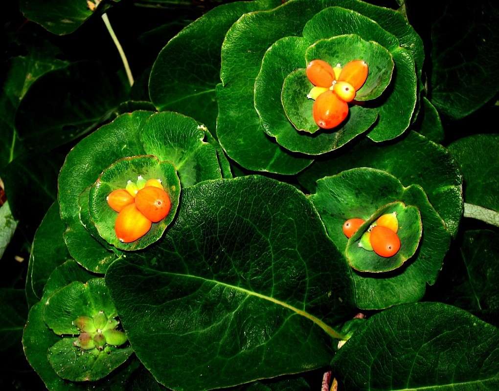 �� ���� ��... ����� Natali  ��������� �� PhotoGeek.ru #������ ��� ������� #����� ��������������