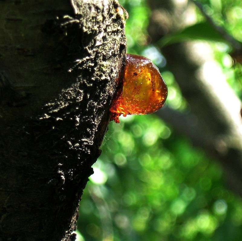 �������� ������ ����� Natali  ��������� �� PhotoGeek.ru #������ ��� ������� #����� ��������������