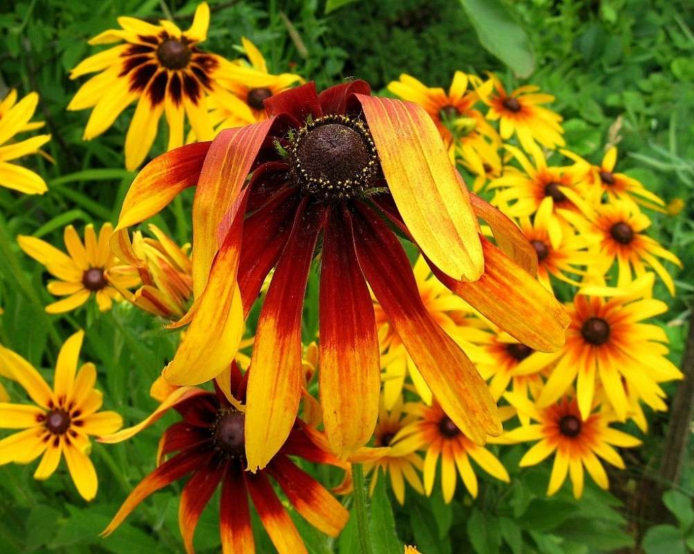 �������� ������....) ����� Natali  ��������� �� PhotoGeek.ru #������ ��� ������� #����� ��������������