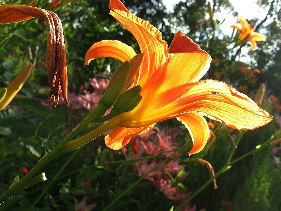 ����� �����...) ����� Natali  ��������� �� PhotoGeek.ru #������ ��� ������� #����� ��������������