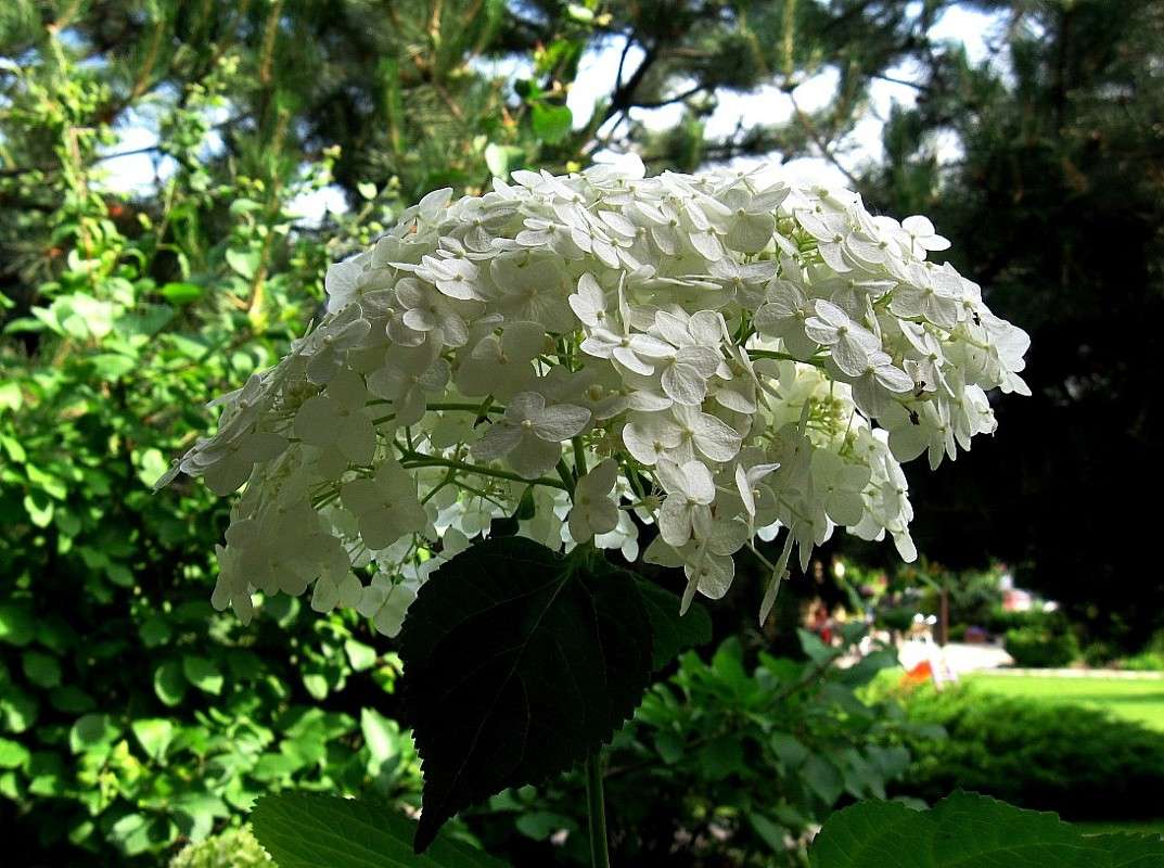 ... ����� Natali  ��������� �� PhotoGeek.ru #������ ��� ������� #����� ��������������