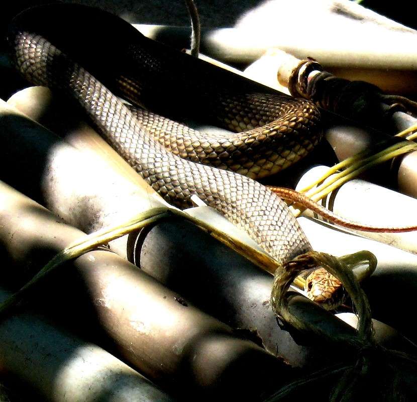 ��� ������� �����.... ����� Natali  ��������� �� PhotoGeek.ru #�������� ��� #������ ��� ������� #����� ��� ��� ���������