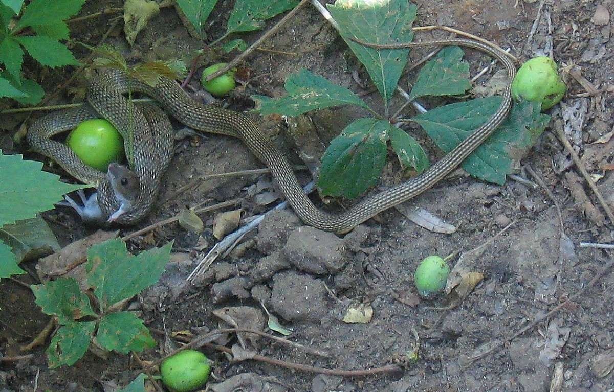 ��� ������� �����...2 ����� Natali  ��������� �� PhotoGeek.ru #�������� ��� #������ ��� ������� #����� ��� ��� ���������