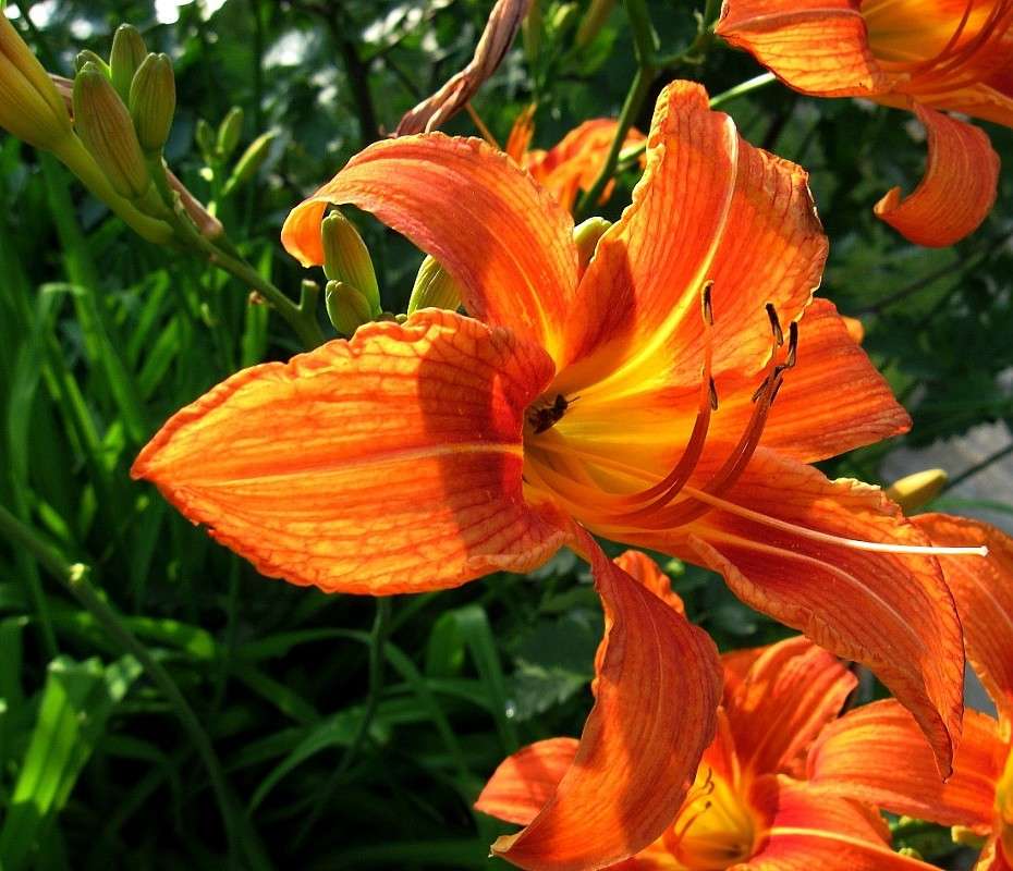 � ��� ������ ��������� ��� ����� � ���� � ���....))) ����� Natali  ��������� �� PhotoGeek.ru #������ ��� ������� #����� ��������������