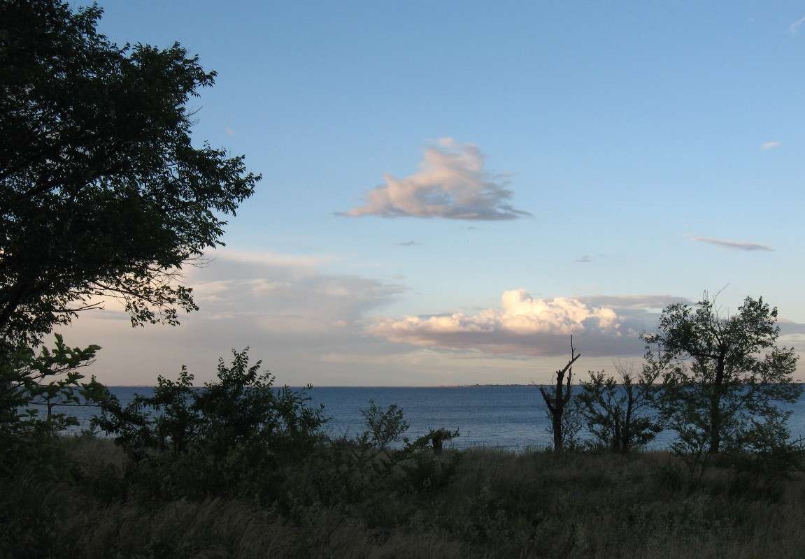 ��, �����.... ����� Natali  ��������� �� PhotoGeek.ru #������ ��� �������