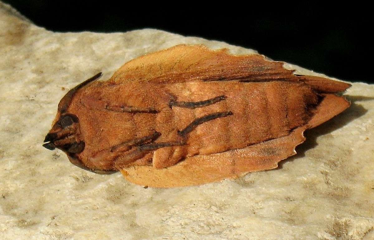 ������ �������...2 ����� Natali  ��������� �� PhotoGeek.ru #�������� ���