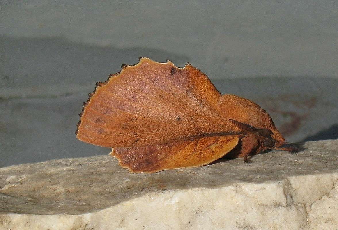 ������ ������� ����� Natali  ��������� �� PhotoGeek.ru #�������� ���