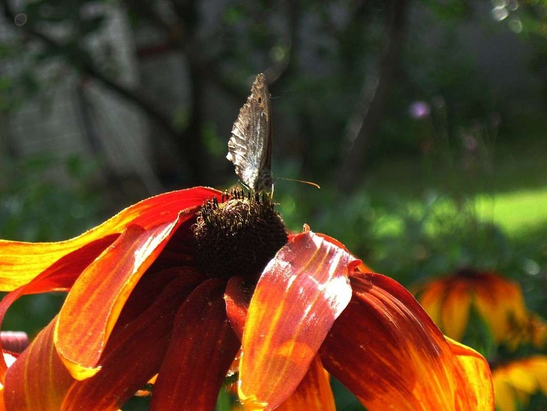 ... ����� Natali  ��������� �� PhotoGeek.ru #������ ��� ������� #����� ��������������