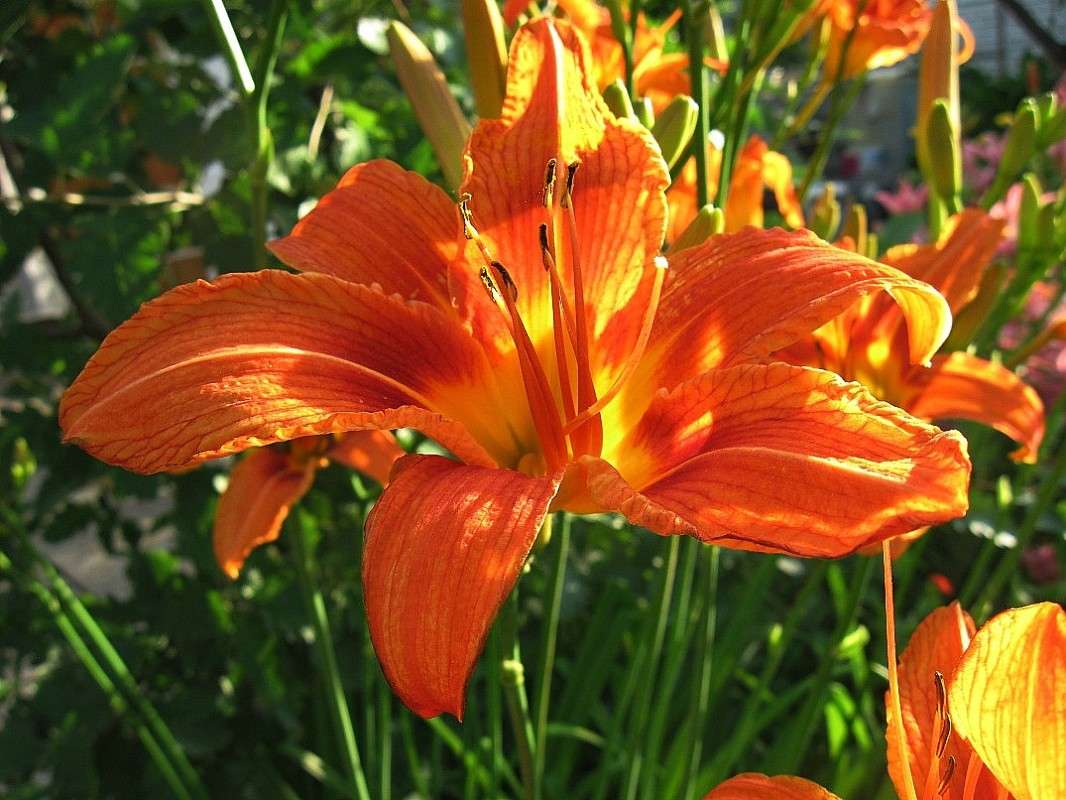 �������� � ��������� ����� ����� Natali  ��������� �� PhotoGeek.ru #������ ��� ������� #����� ��������������