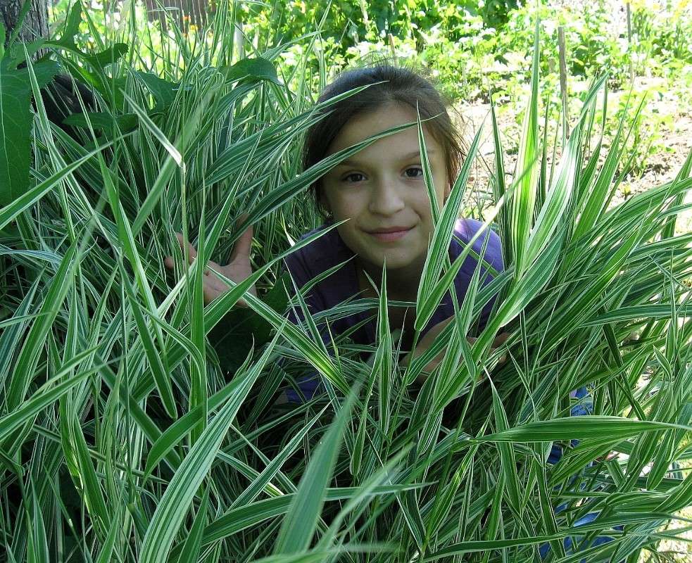 ����� ����� �������...) ����� Natali  ��������� �� PhotoGeek.ru #������ ��� ������� #�������� ���������� #����� ��������������