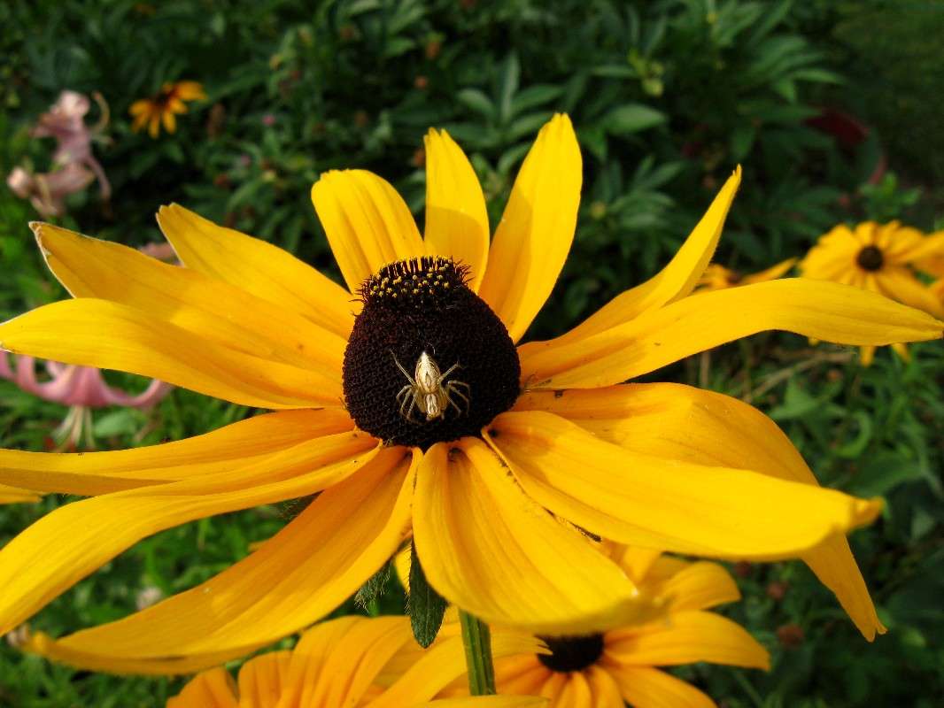 ����� � ����� ������...) ����� Natali  ��������� �� PhotoGeek.ru #������ ��� ������� #����� ��������������