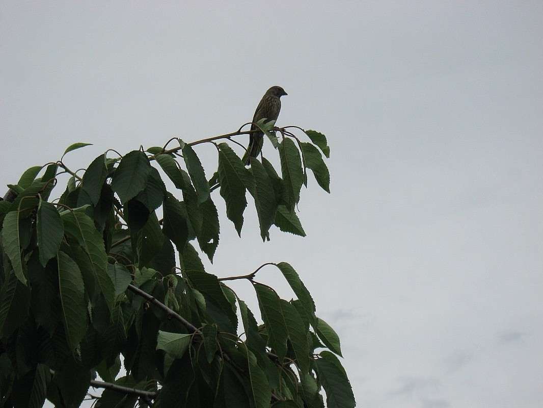 �� ���� ���� ������....) ����� Natali  ��������� �� PhotoGeek.ru #�������� ��� #����� ��� ��� ���������