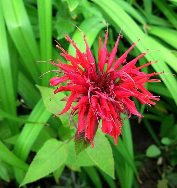 ������������...) ����� Natali  ��������� �� PhotoGeek.ru #������ ��� ������� #����� ��������������