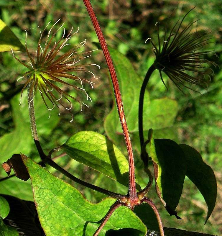 ����� ���-���...) ����� Natali  ��������� �� PhotoGeek.ru #������ ��� ������� #����� ��������������