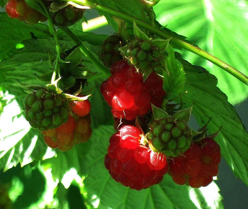 ... ����� Natali  ��������� �� PhotoGeek.ru #������ ��� ������� #����� ��������������