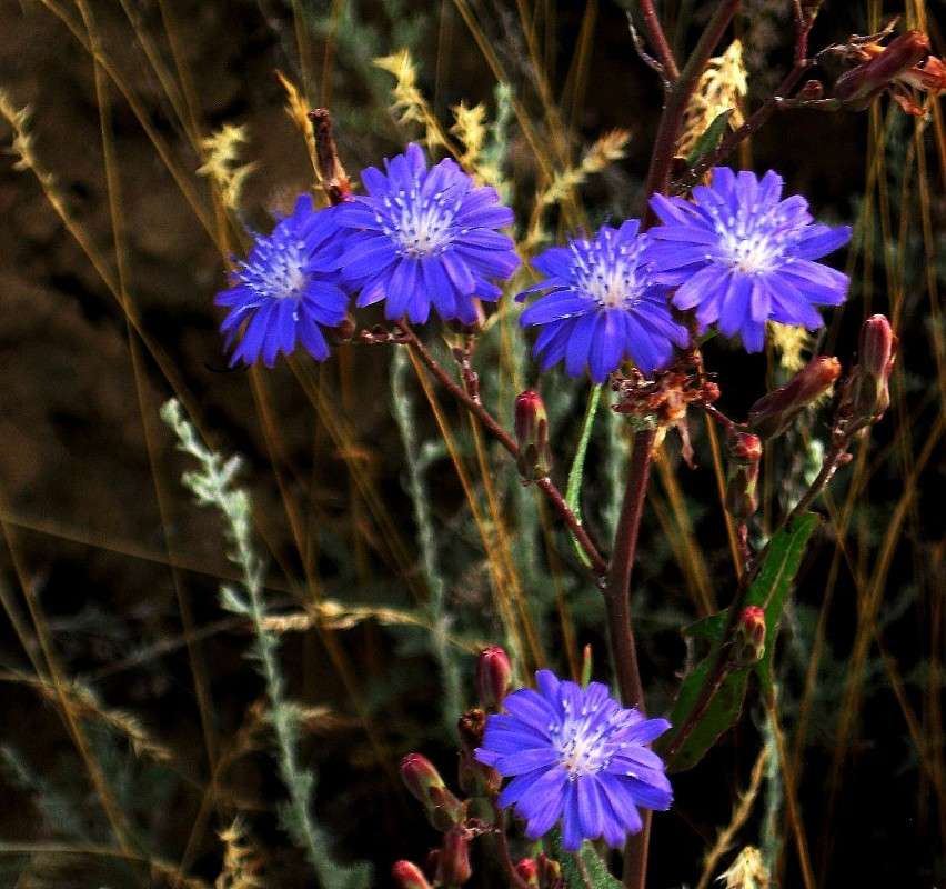 ����� � ���� ����� Natali  ��������� �� PhotoGeek.ru #������ ��� ������� #����� ��������������