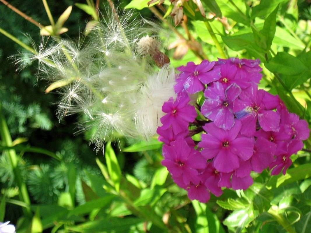 ��� ���� �������...) ����� Natali  ��������� �� PhotoGeek.ru #������ ��� ������� #����� ��������������