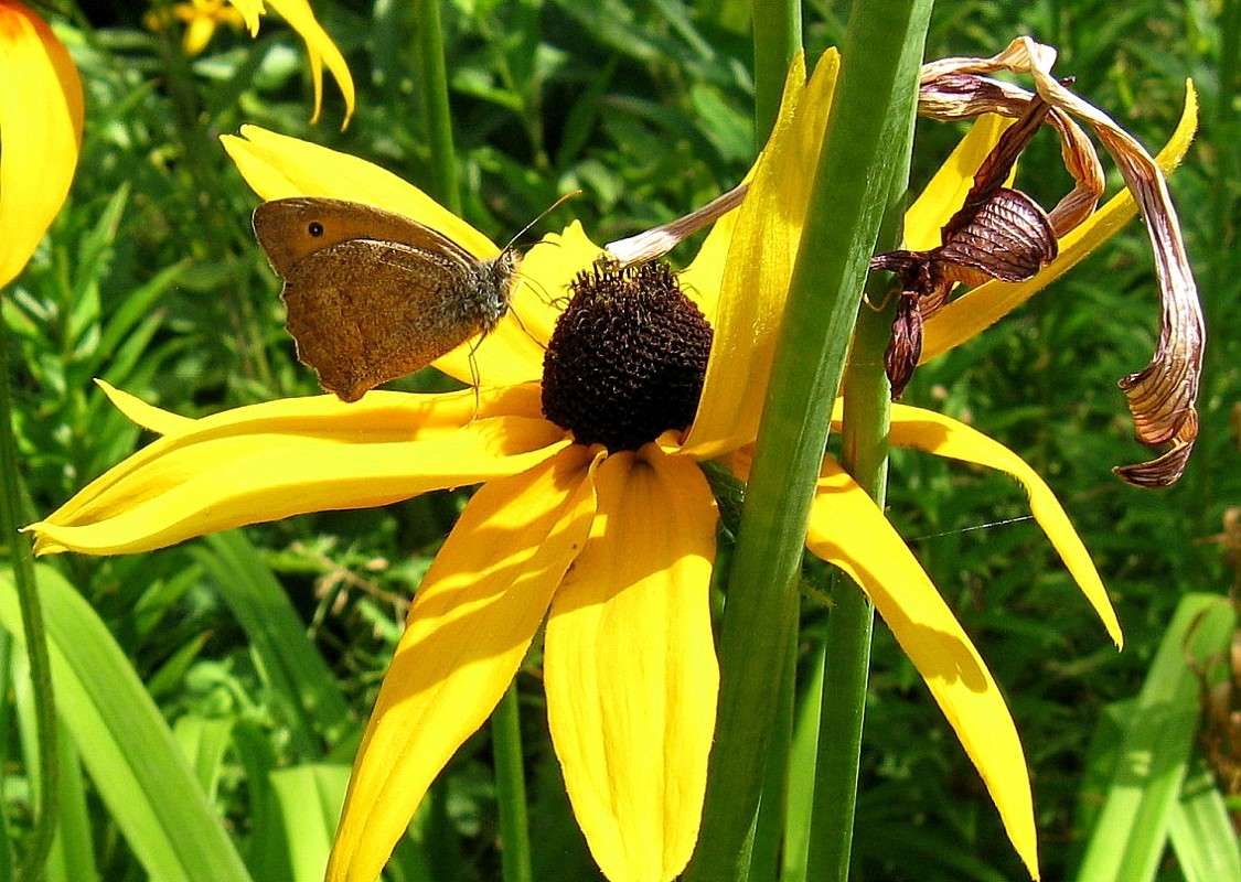 ������� ����� Natali  ��������� �� PhotoGeek.ru #�������� ��� #������ ��� ������� #����� ��������������