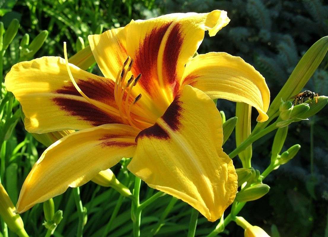 �� ������� �����������...) ����� Natali  ��������� �� PhotoGeek.ru #������ ��� ������� #����� ��������������