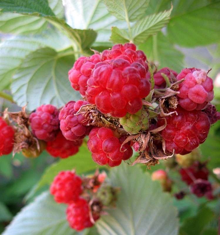 ... ����� Natali  ��������� �� PhotoGeek.ru #����� ��������������