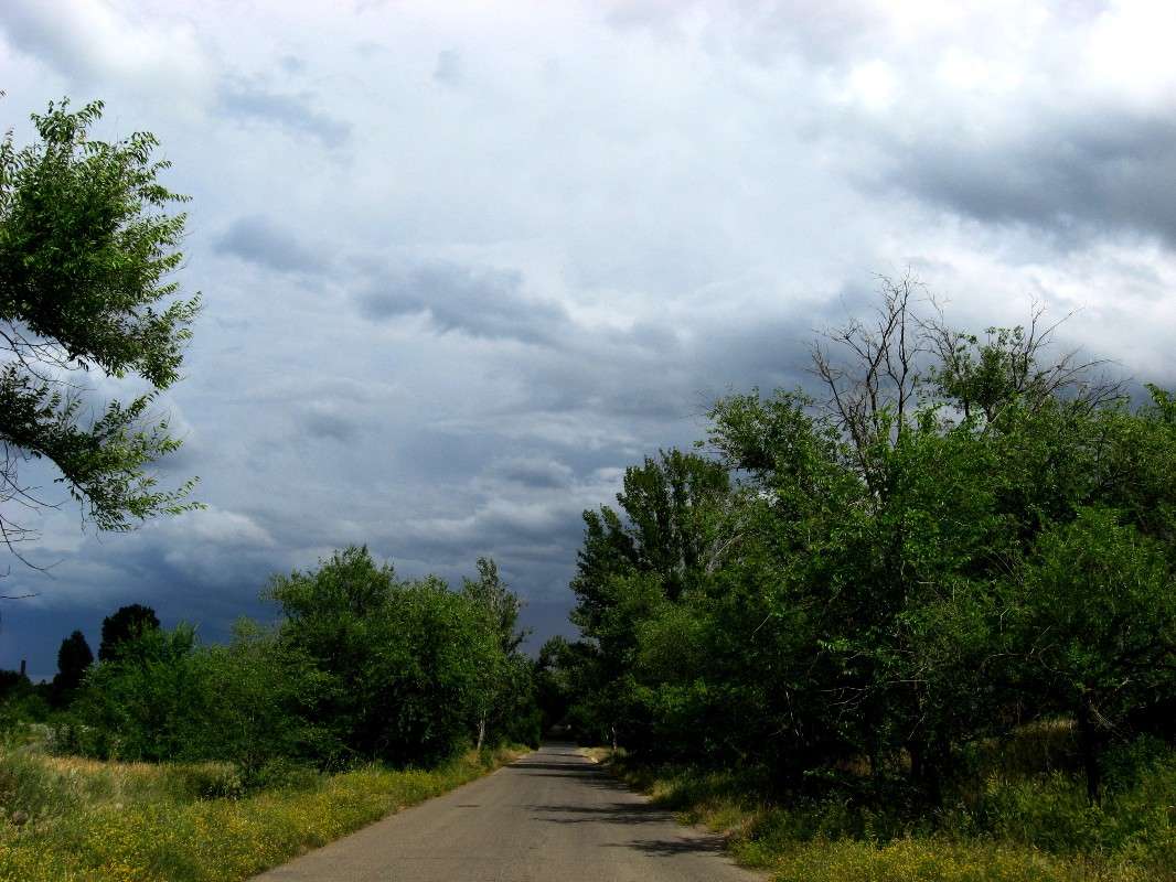 � ����� �����...) ����� Natali  ��������� �� PhotoGeek.ru #������ ��� ������� #����� ��������������