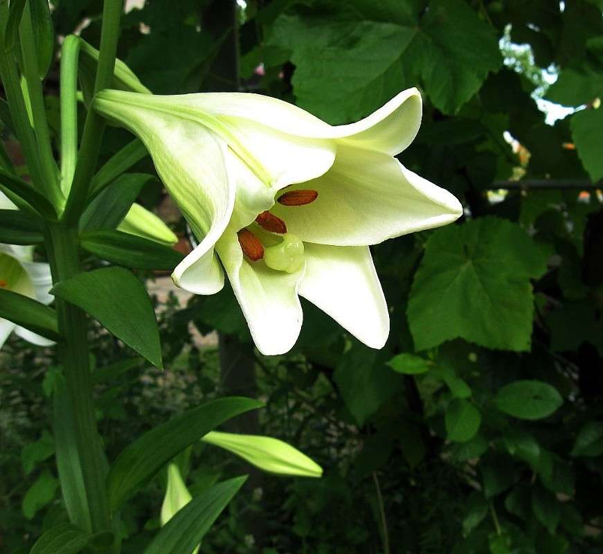 ... ����� Natali  ��������� �� PhotoGeek.ru #������ ��� ������� #����� ��������������