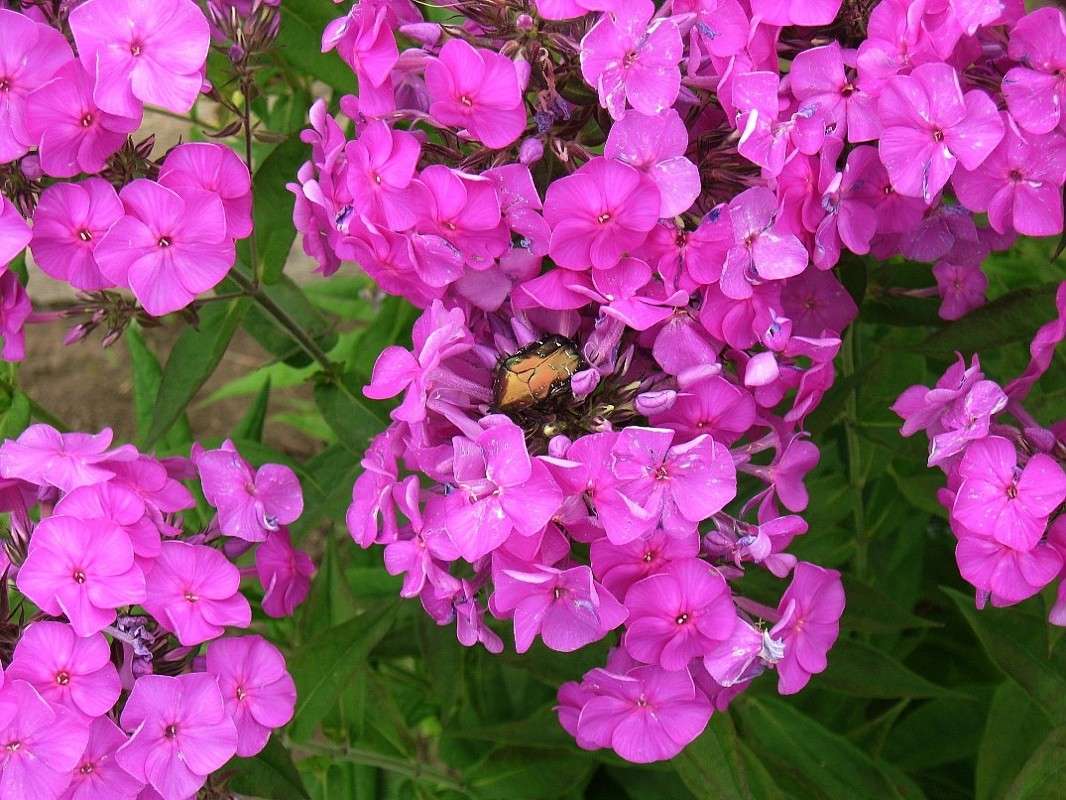 ... ����� Natali  ��������� �� PhotoGeek.ru #������ ��� ������� #����� �������������� #���������