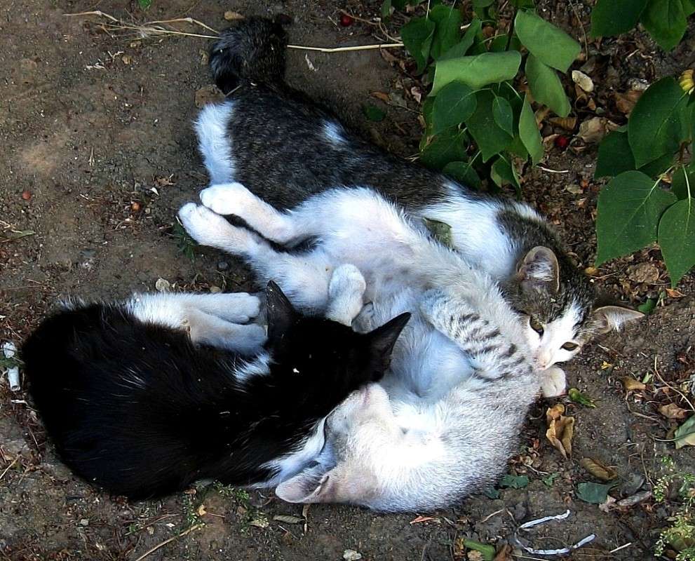 ���, ��� ?...) ����� Natali  ��������� �� PhotoGeek.ru #�������� ��� #�������� ���