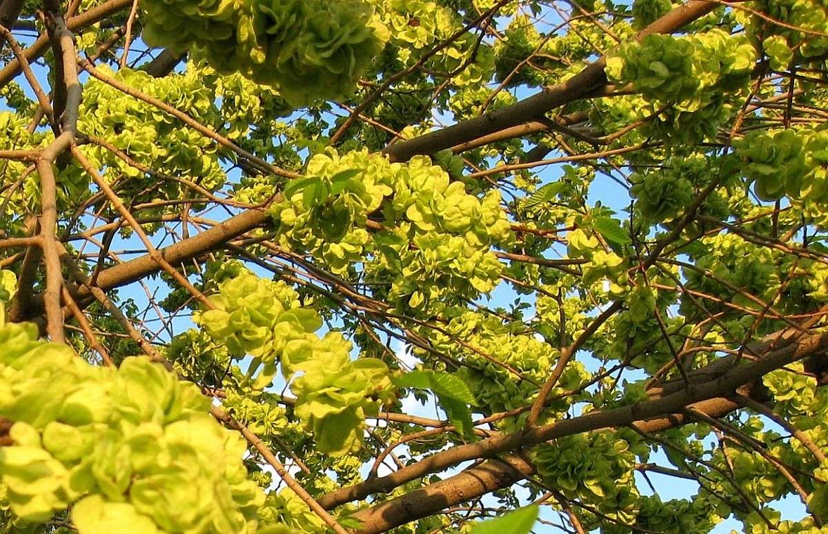 ������ �������...) ����� Natali  ��������� �� PhotoGeek.ru #������ ��� ������� #����� ��������������