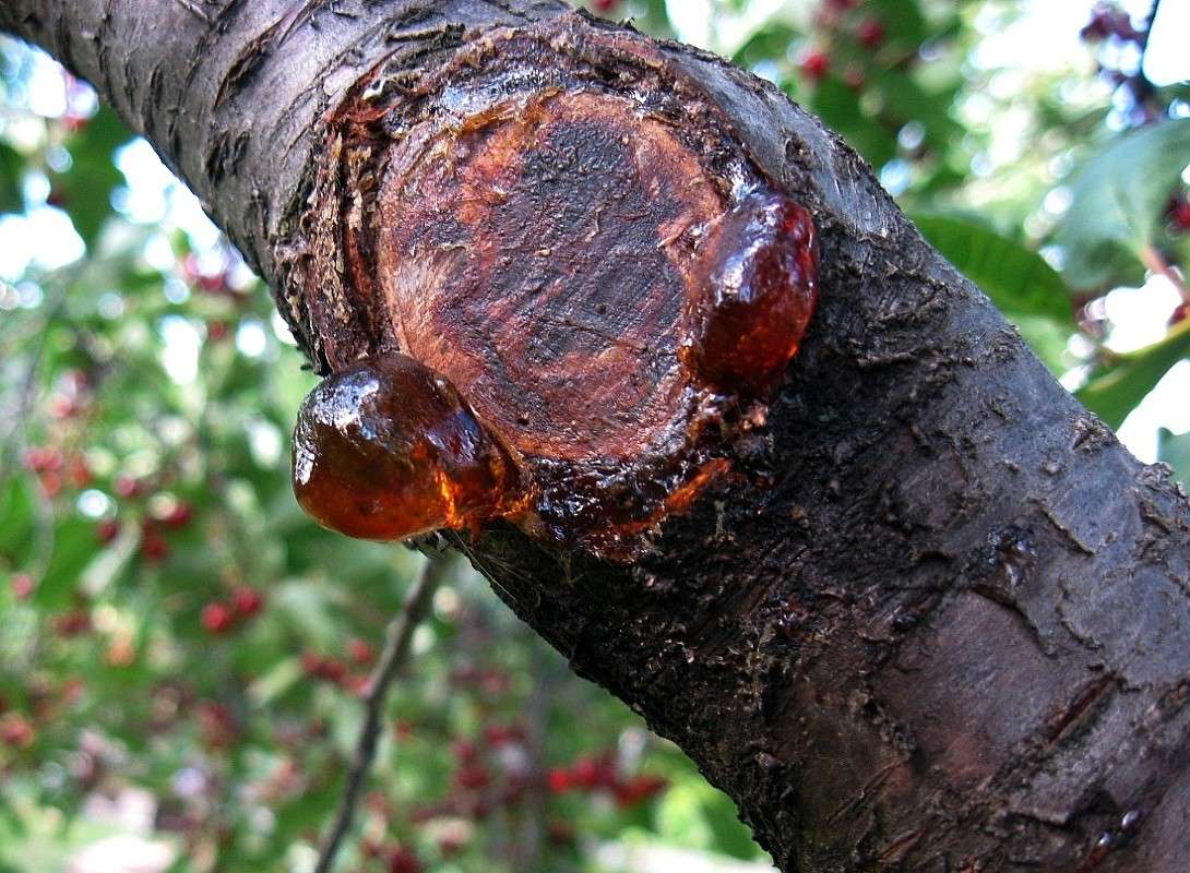 ���������� �� ������� ����� Natali  ��������� �� PhotoGeek.ru #������ ��� ������� #����� ��������������