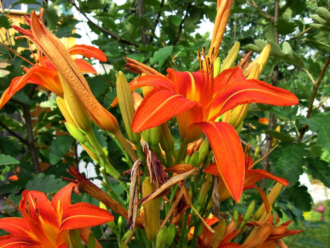 ��� ��������...) ����� Natali  ��������� �� PhotoGeek.ru #����� ��������������