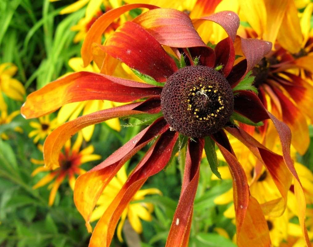 ��������������...))) ! ����� Natali  ��������� �� PhotoGeek.ru #������ ��� ������� #����� �������������� #���������