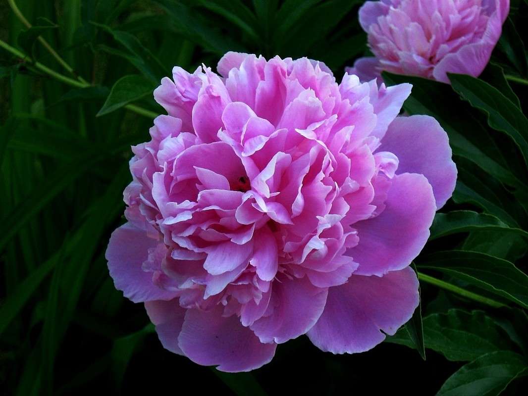 ... ����� Natali  ��������� �� PhotoGeek.ru #����� ��������������