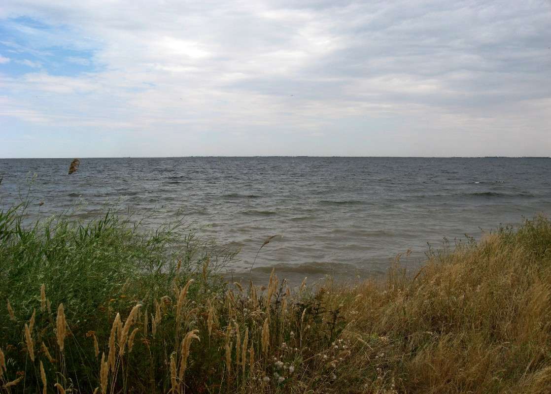 �� ������  � ��������� ����� ! ����� Natali  ��������� �� PhotoGeek.ru #������ ��� ������� #����� ��������������